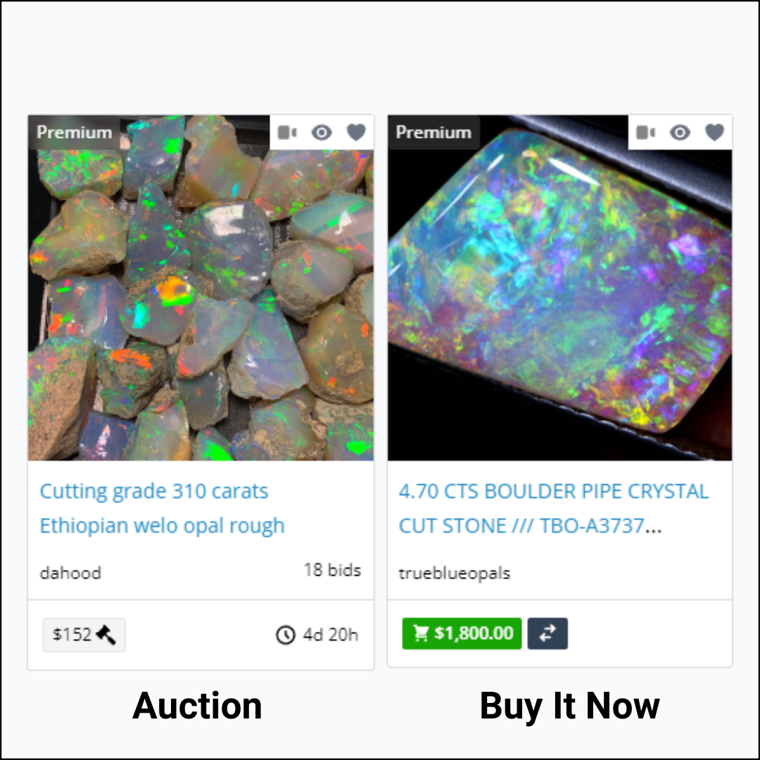 Placing Your First Bid.png